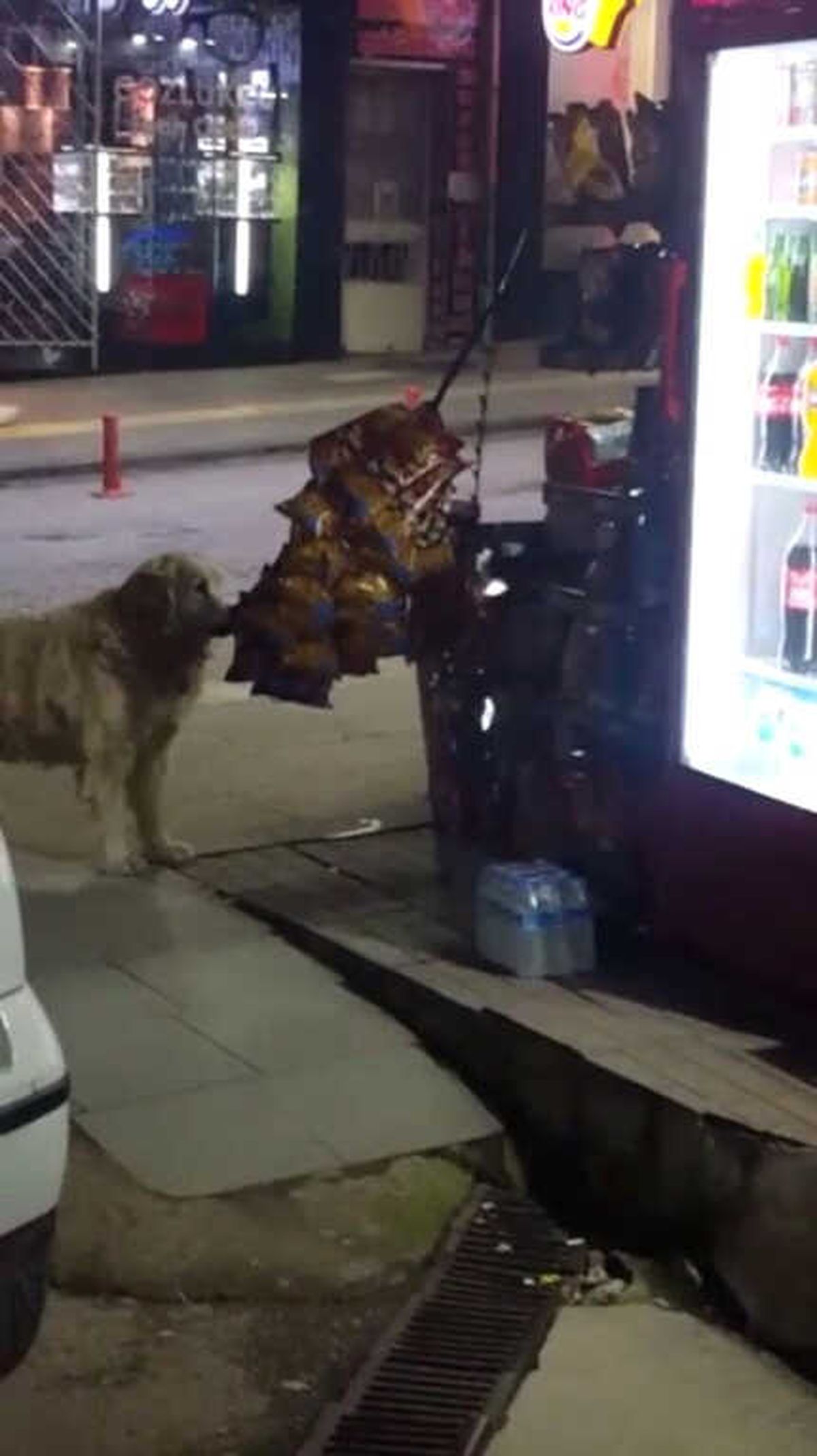 Cips Tutkunu Köpek Bakkaldan Cipsi İşte Böyle Aşırdı
