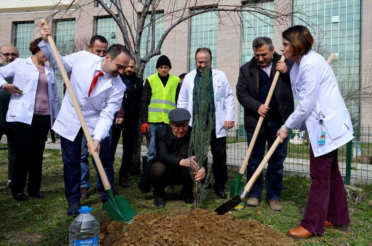Devlet Hastanesinin Bahçesi Yeşillendiriliyor