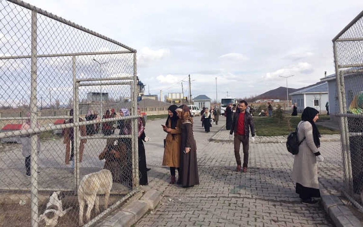 Mşü Öğrencilerinden Sokak Hayvanları Bakımevine Ziyaret