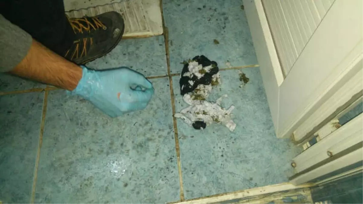 Torbacı Esrarı Tuvalete Attı, Sifonu Çekemeden Polis Yakaladı