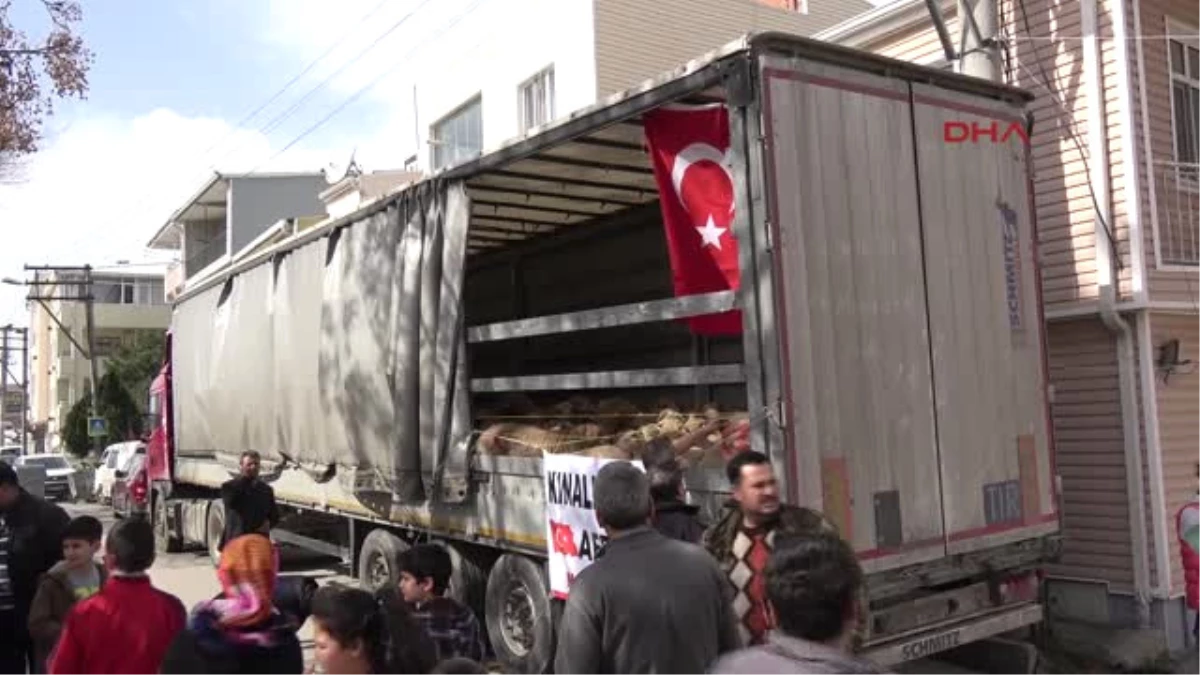 Bursa Afrin\'deki Mehmetçiklere 80 Kınalı Koç
