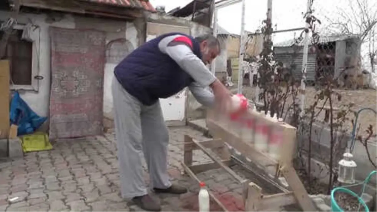 Çocuk Yuvası Emeklisinin "Kuzu" Sevgisi