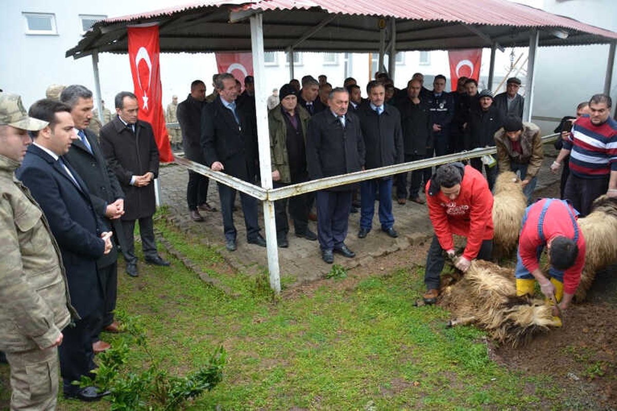 Kabadüz\'de Mehmetçikler İçin Kurban Kesildi