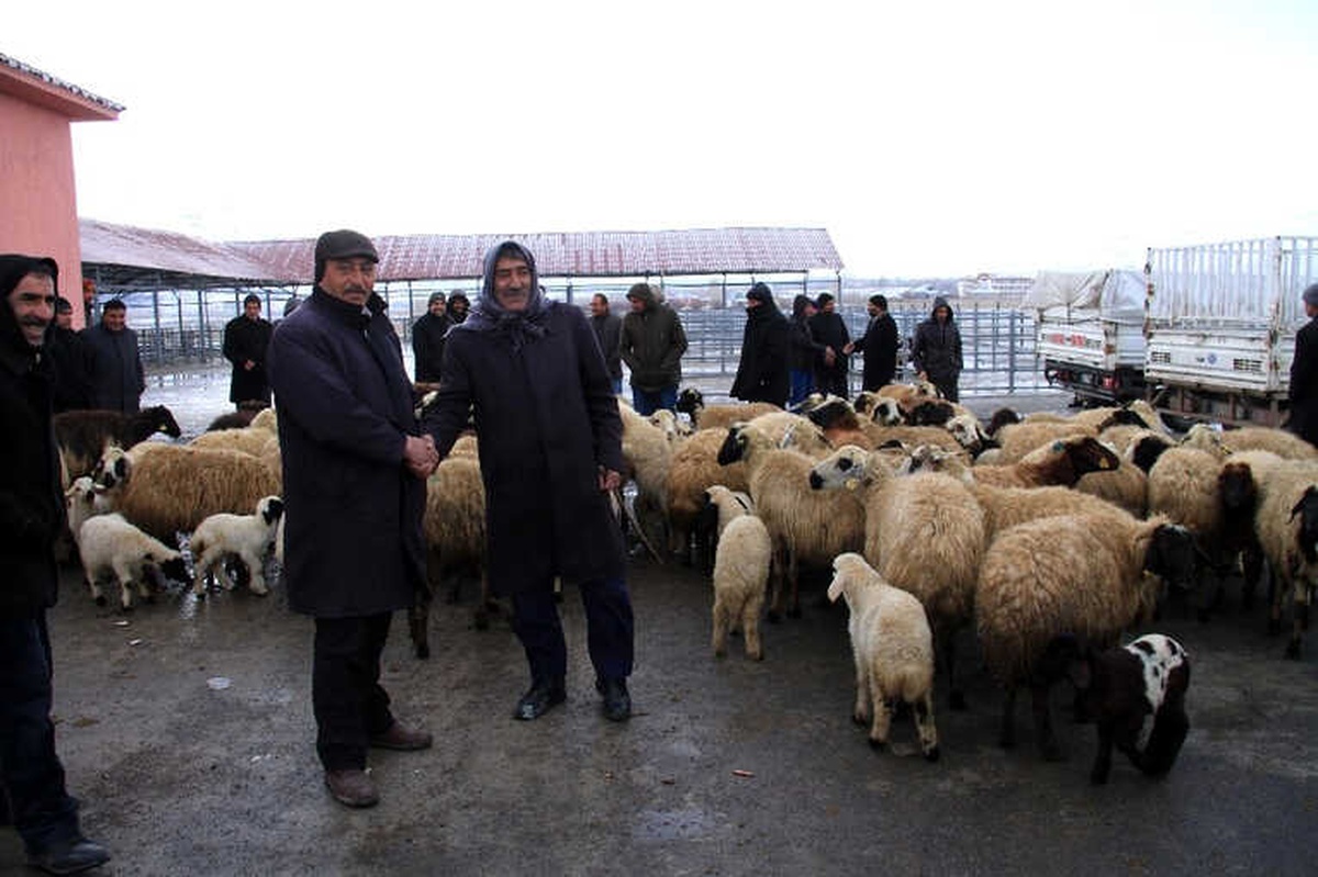 Muradiye\'nin İlk Mezbahası ve Hayvan Pazarı Hizmete Girdi