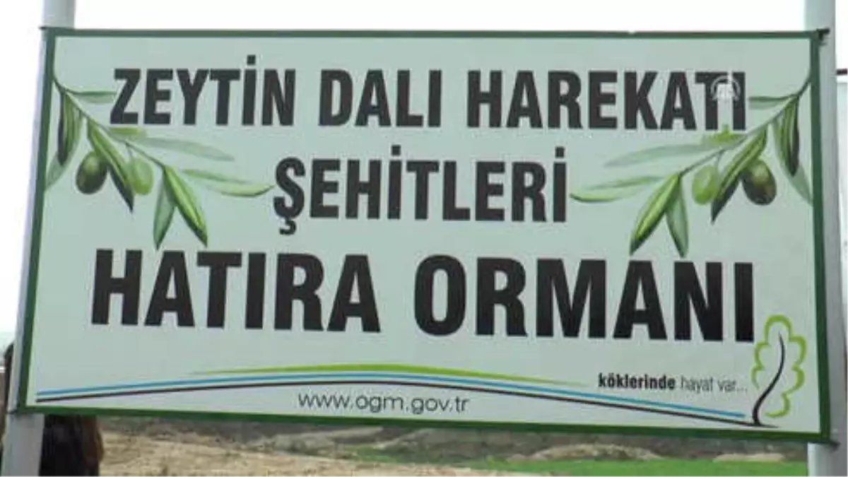 Bakan Elvan, "Zeytin Dalı Harekatı Şehitleri" İçin Oluşturulan Hatıra Ormanında Fidan Dikme...