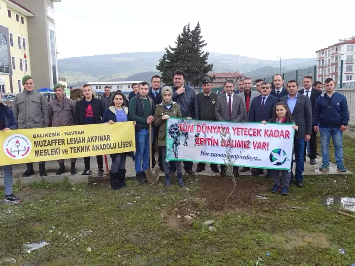 Havranlı Öğrencilerden Anlamlı Mesaj "Tüm Dünyaya Yetecek Kadar Zeytin Dalımız Var!"