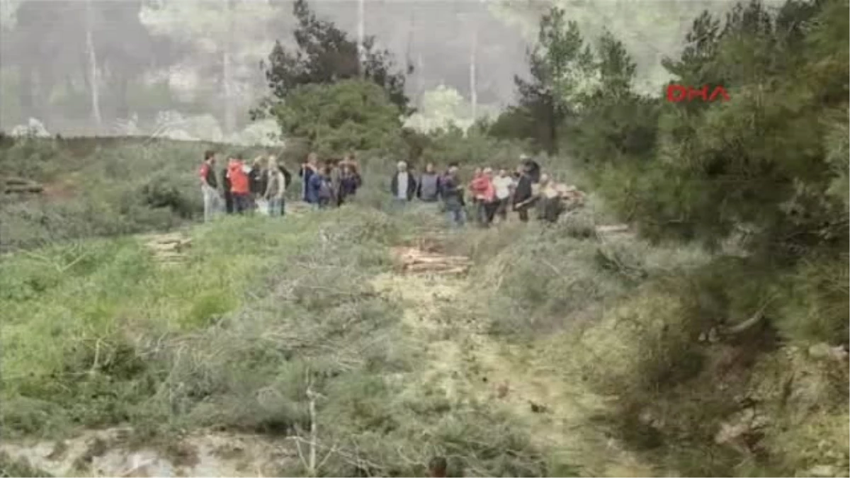 İzmir Foça Ilıpınar\'daki Ağaç Kesimlerine Çevrecilerden Büyük Tepki