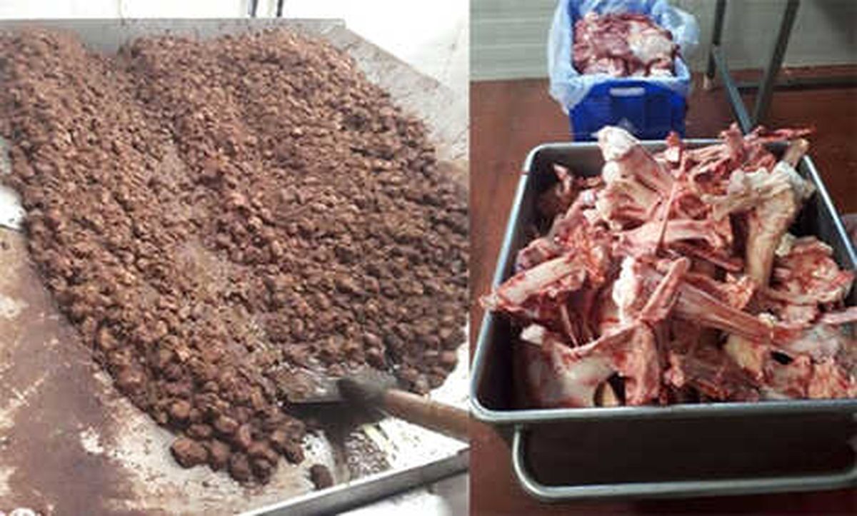 Kocaeli\'de 4 Ton Kaçak Et Ele Geçirildi