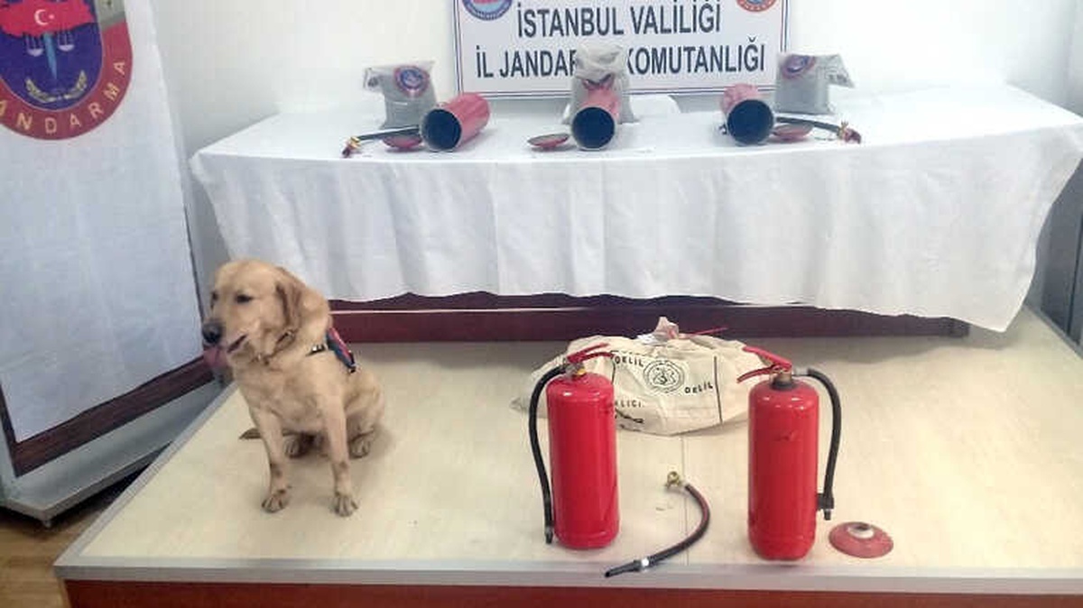 Yangın Tüpü İçinde Uyuşturucu Sevkiyatına Jandarma Engeli