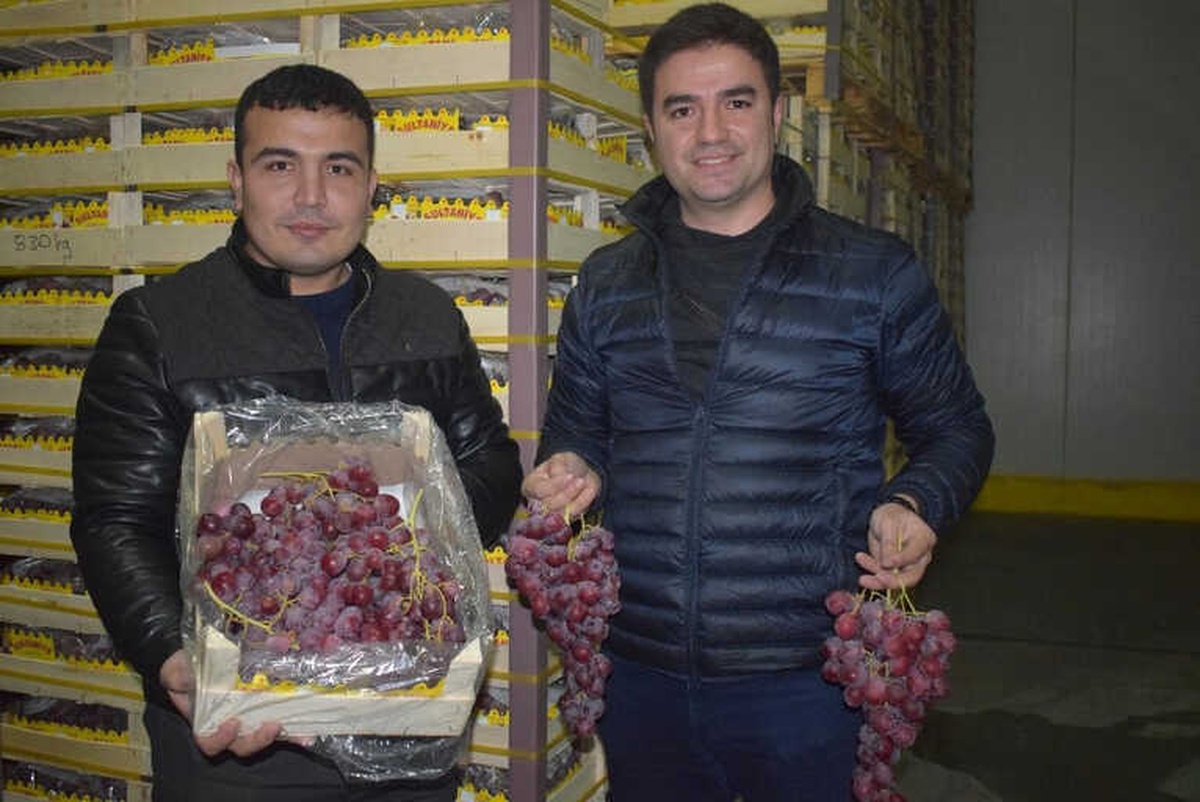 Yaş Üzüm İhracatında Son Tır Alaşehir\'den Yola Çıktı