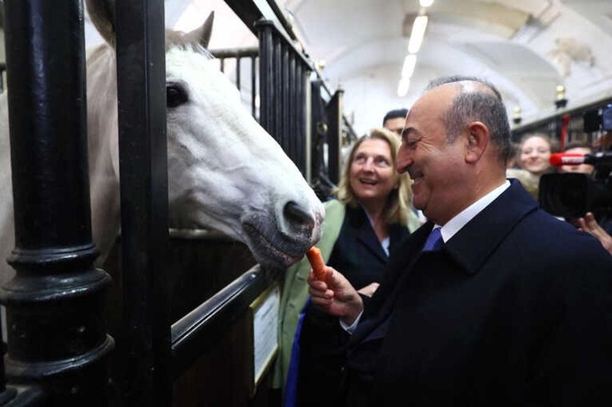 Çavuşoğlu, Viyana\'da Kraliyet Binicilik Okulu\'nu Ziyaret Etti