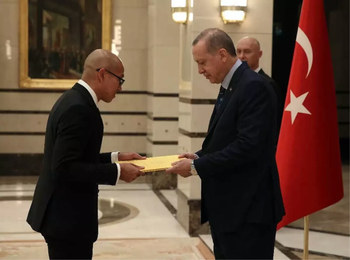 Cumhurbaşkanı Erdoğan\'dan Güven Mektubu Kabulü