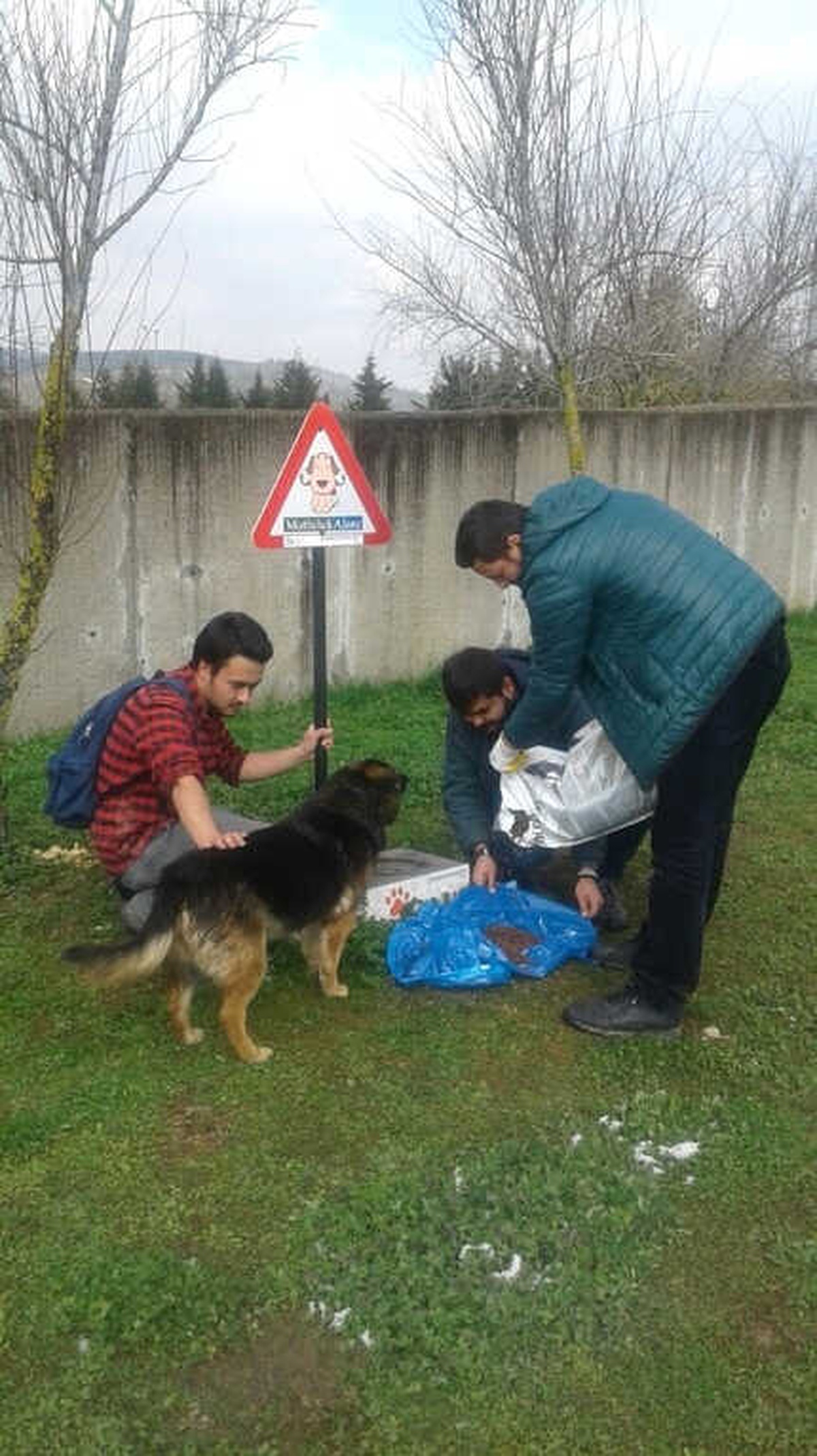 İzmit Belediyesi\'nden Sokak Hayvanlarına Yiyecek