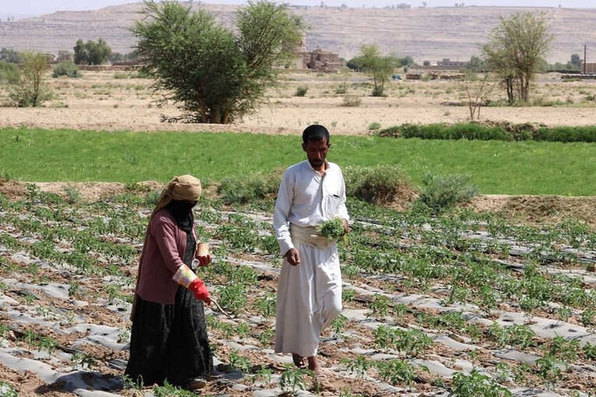 Yemen\'de Savaşın Gölgesindeki Kadınlar