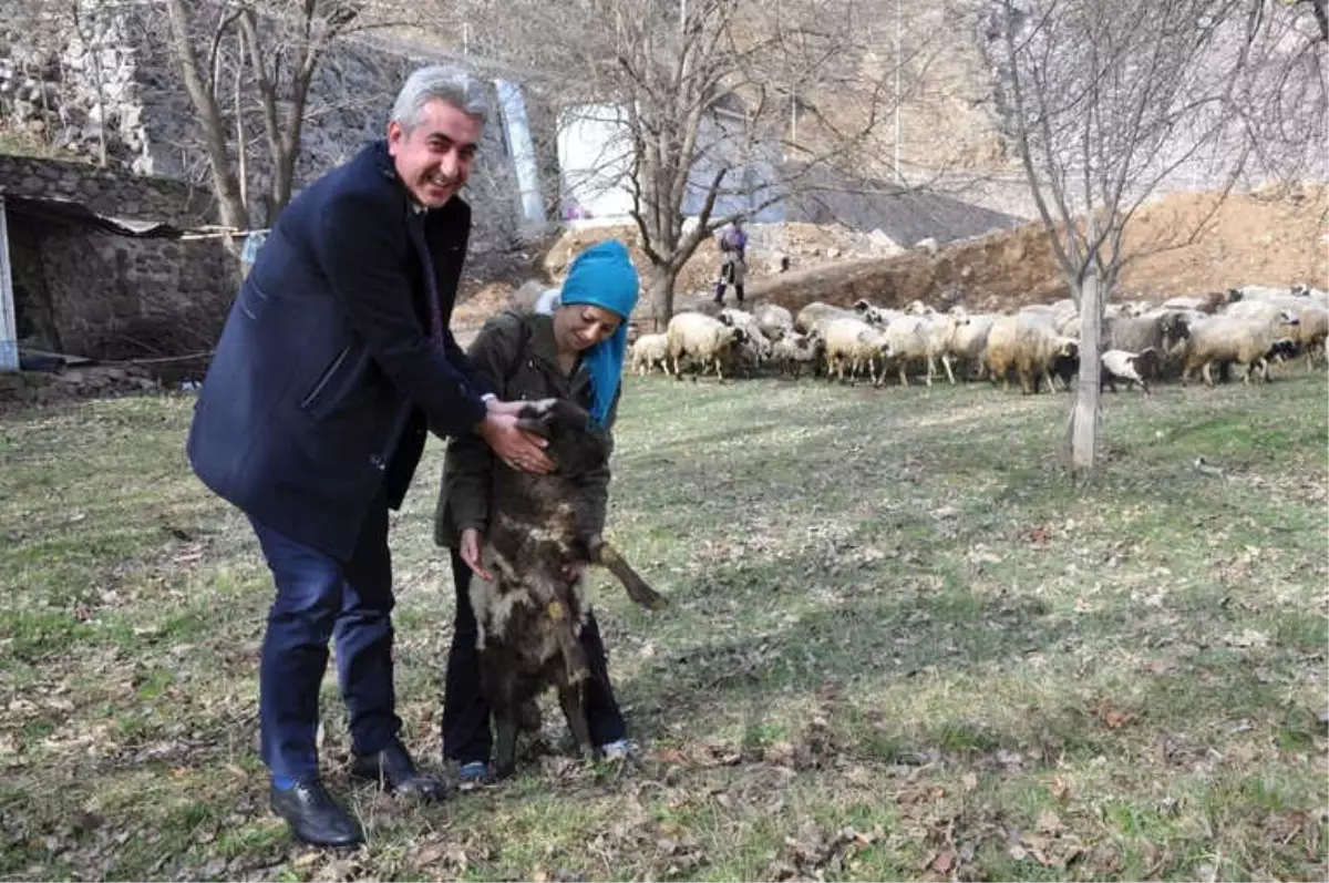 Gümüşhane\'de Genç Çiftçi Projesi Yüzleri Güldürüyor