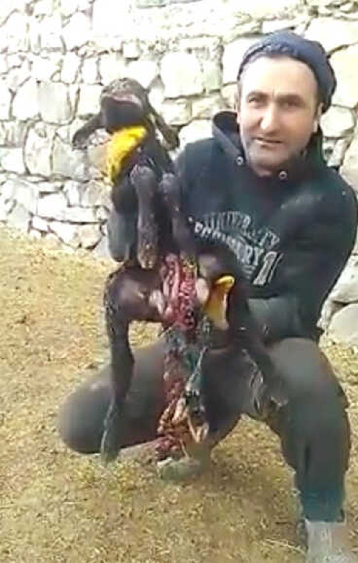 Horasan\'da Altı Ayaklı, İki Çeneli, İki Dilli Kuzu Dünyaya Geldi