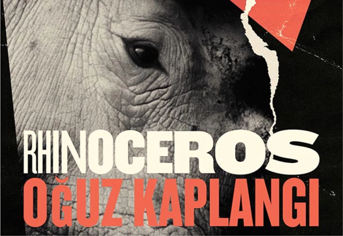 Rhinoceros Müzikleri Bu Albümde