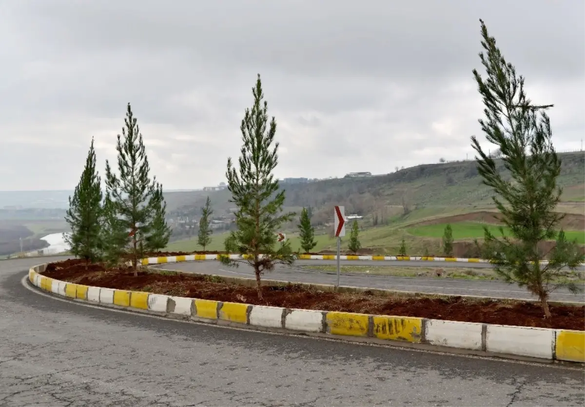 Bağıvar Caddesi Ağaçlandırıldı