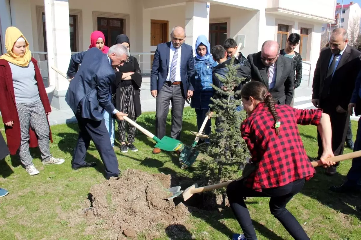 Çocuk Evleri\'ndeki Çocuklar 41 Şehit İçin 41 Çam Ağacı Dikti