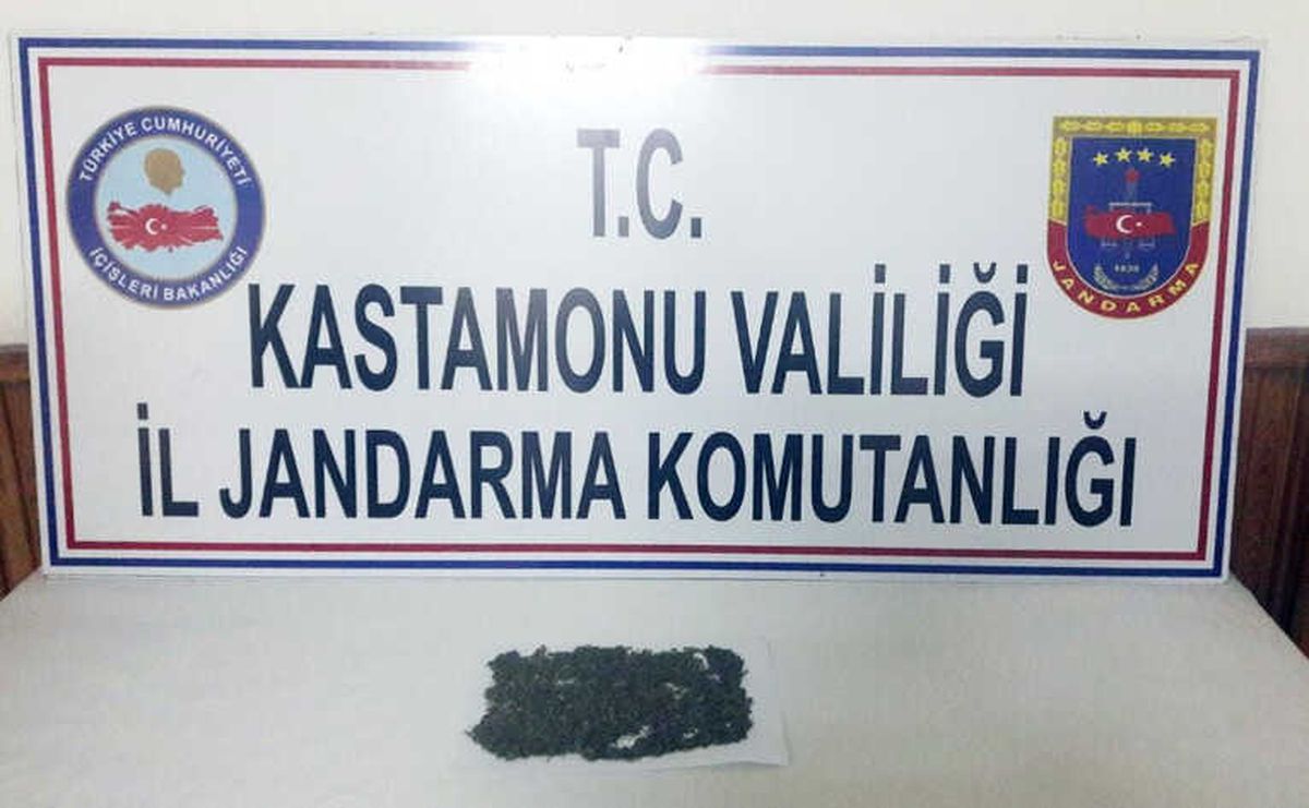 Otobüste Bir Yolcunun Üzerinde Bonzai Bulundu