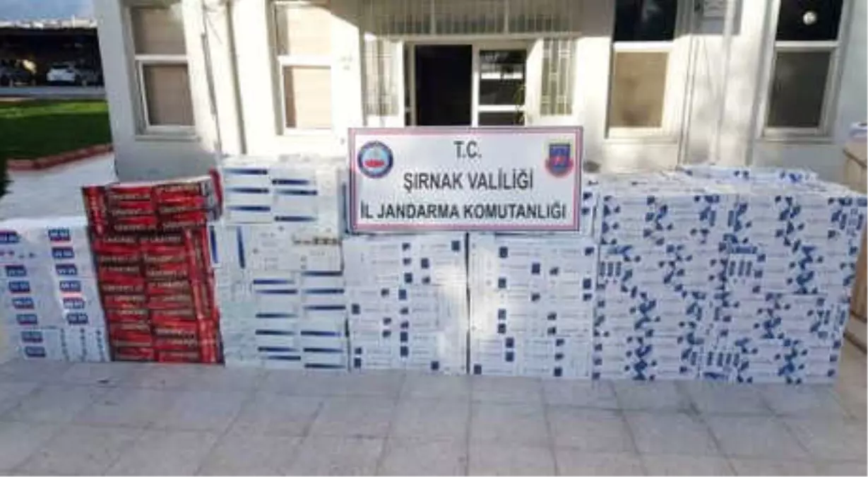 Şırnak\'ta 27 Bin 110 Paket Kaçak Sigara Ele Geçirildi