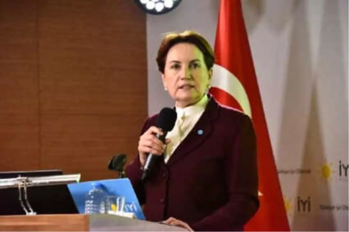 Akşener \'Fetö ve Deaş ile Mücadele Eylem Planı\'nı Açıkladı