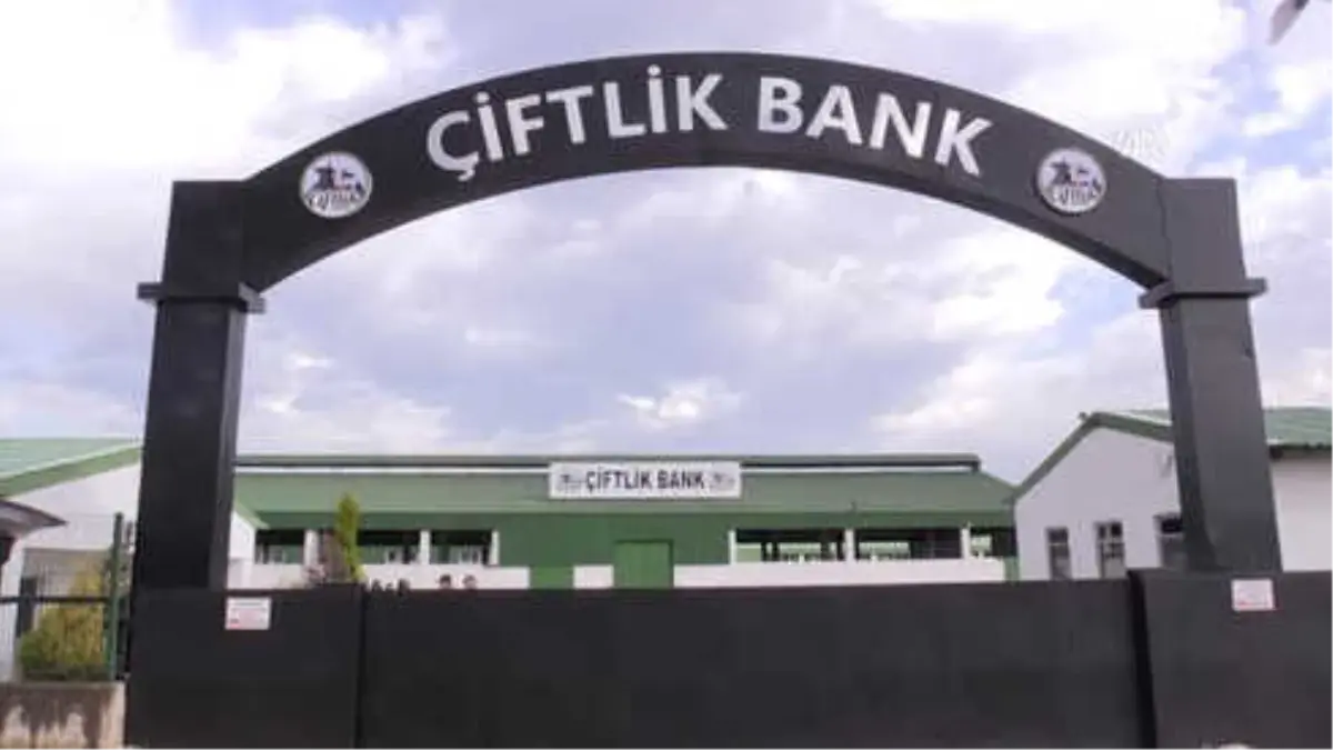 Çiftlik Bank İnegöl Tesislerinde Jandarma Nöbeti - Bursa