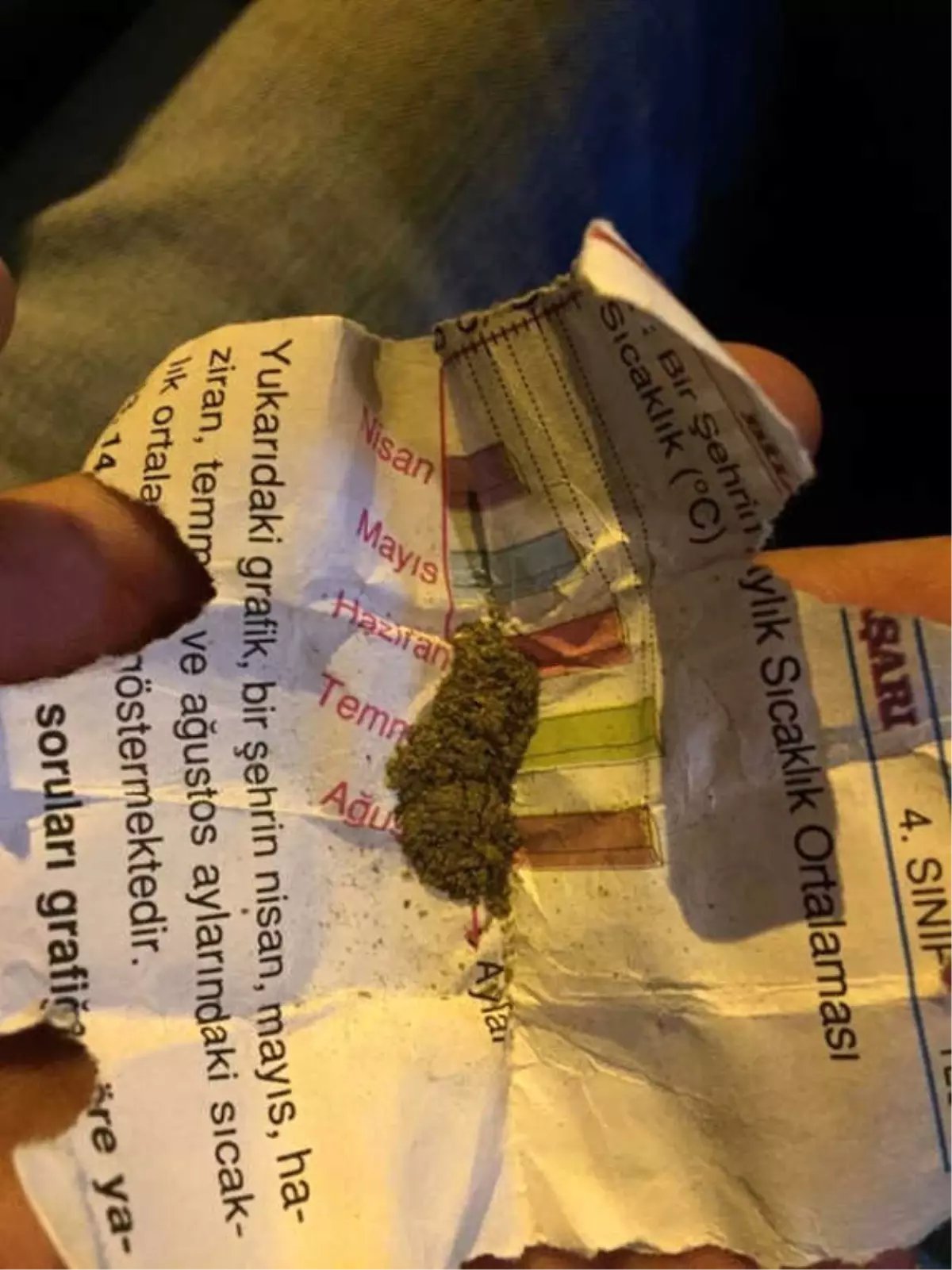 Cami Yanında Oturan Şüpheli Şahıstan Bonzai Çıktı