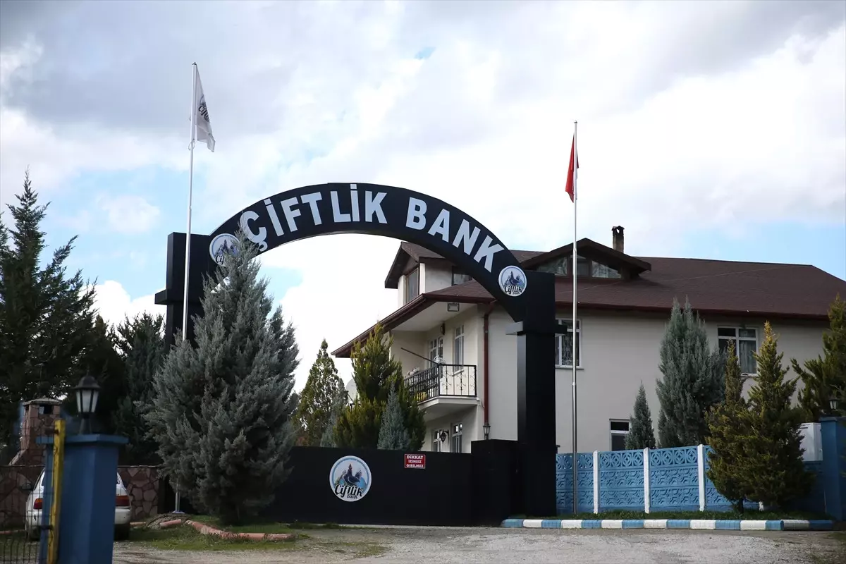 Güncelleme - "Çiftlik Bank" Soruşturmasında Tutuklama