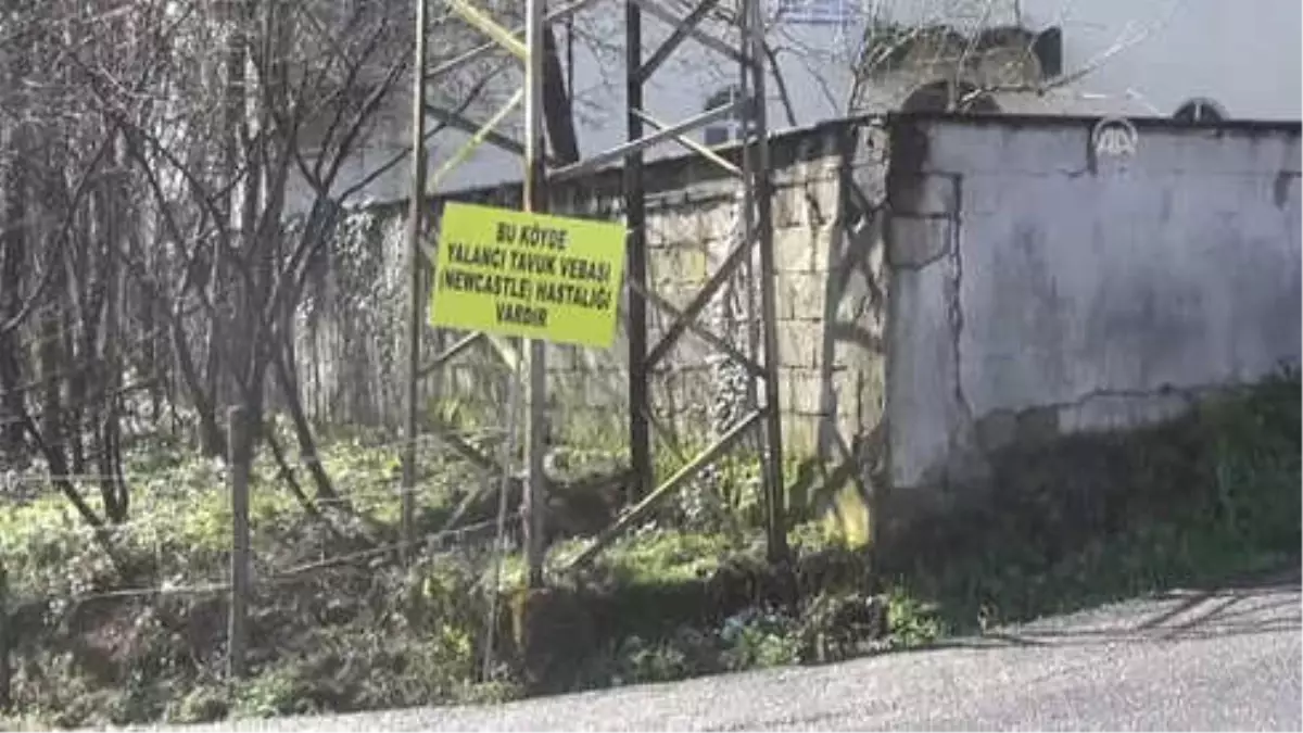 Yalancı Tavuk Vebası" Görülen Köyde Karantina Uygulaması