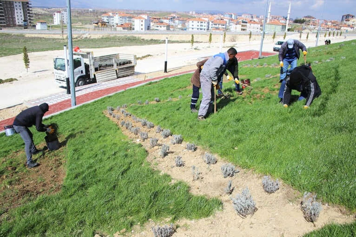 Karaman Belediyesinden Peyzaj Çalışması