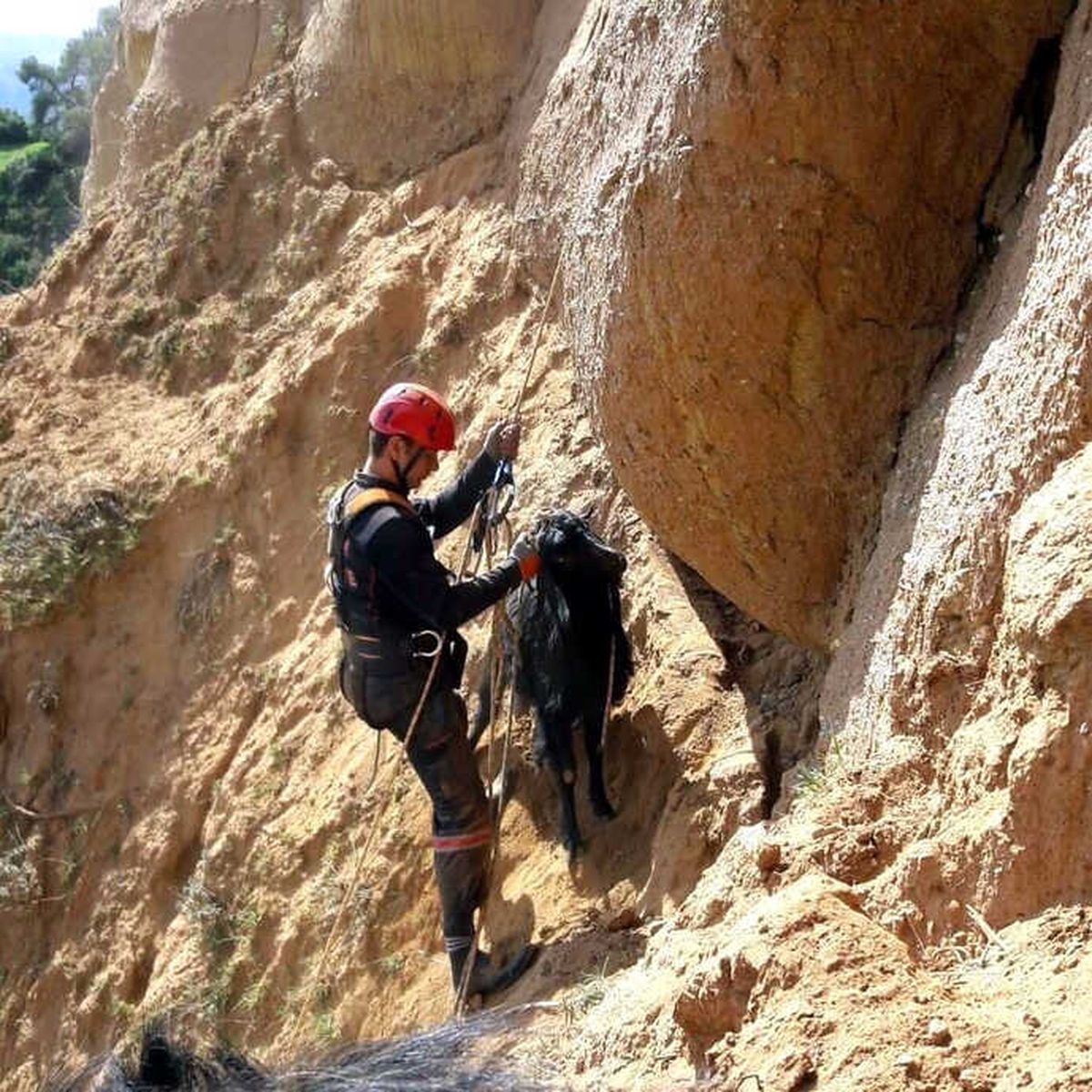 Uçurumda Mahsur Kalan 2 Keçi Kurtarıldı