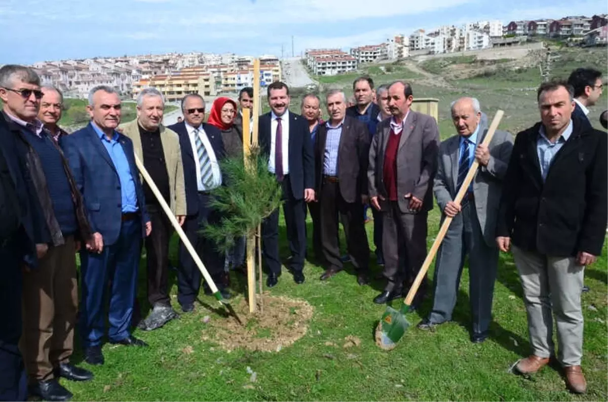 Karesili Muhtarlar Şehitler Adına Fidan Dikti