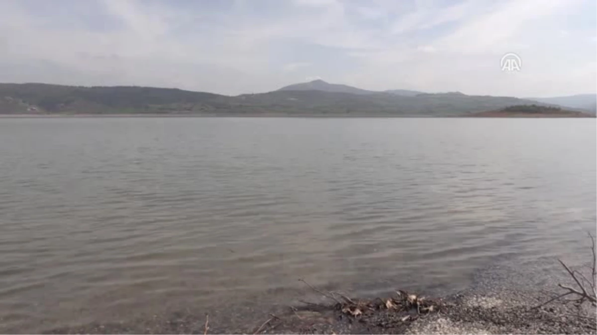 Yağışlar Barajları Doldurdu Çiftçinin Yüzünü Güldürdü - Balıkesir/eskişehir