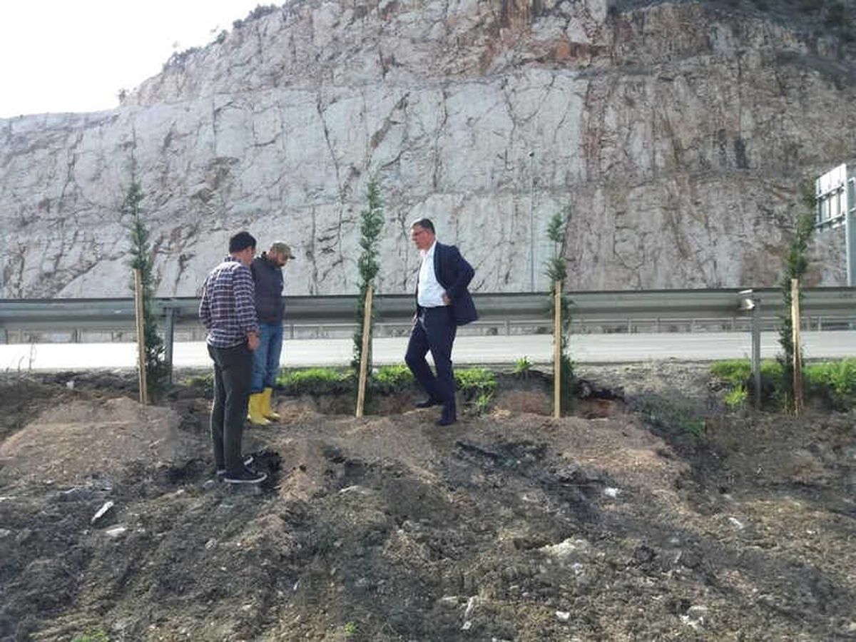 Başkan Duymuş, Ağaçlandırma Çalışmalarını İnceledi