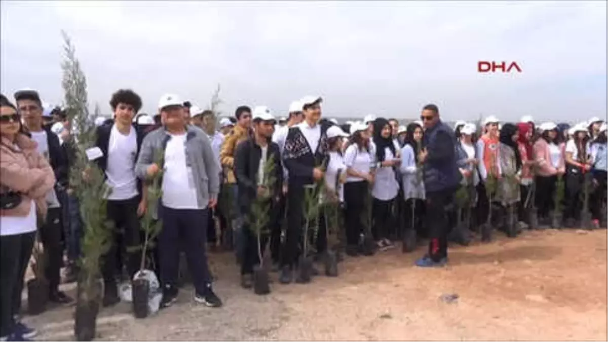 Mardin Midyat\'ta Afrin Şehitleri İçin 1000 Adet Fidan Dikildi