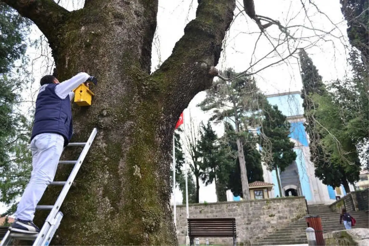 Kuş Evleri Yıldırım\'a Renk Kattı