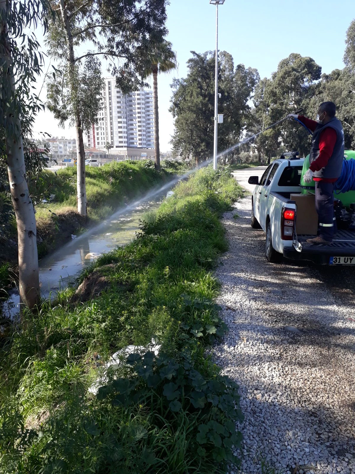 Haşere Üreme Noktaları Tespit Ediliyor