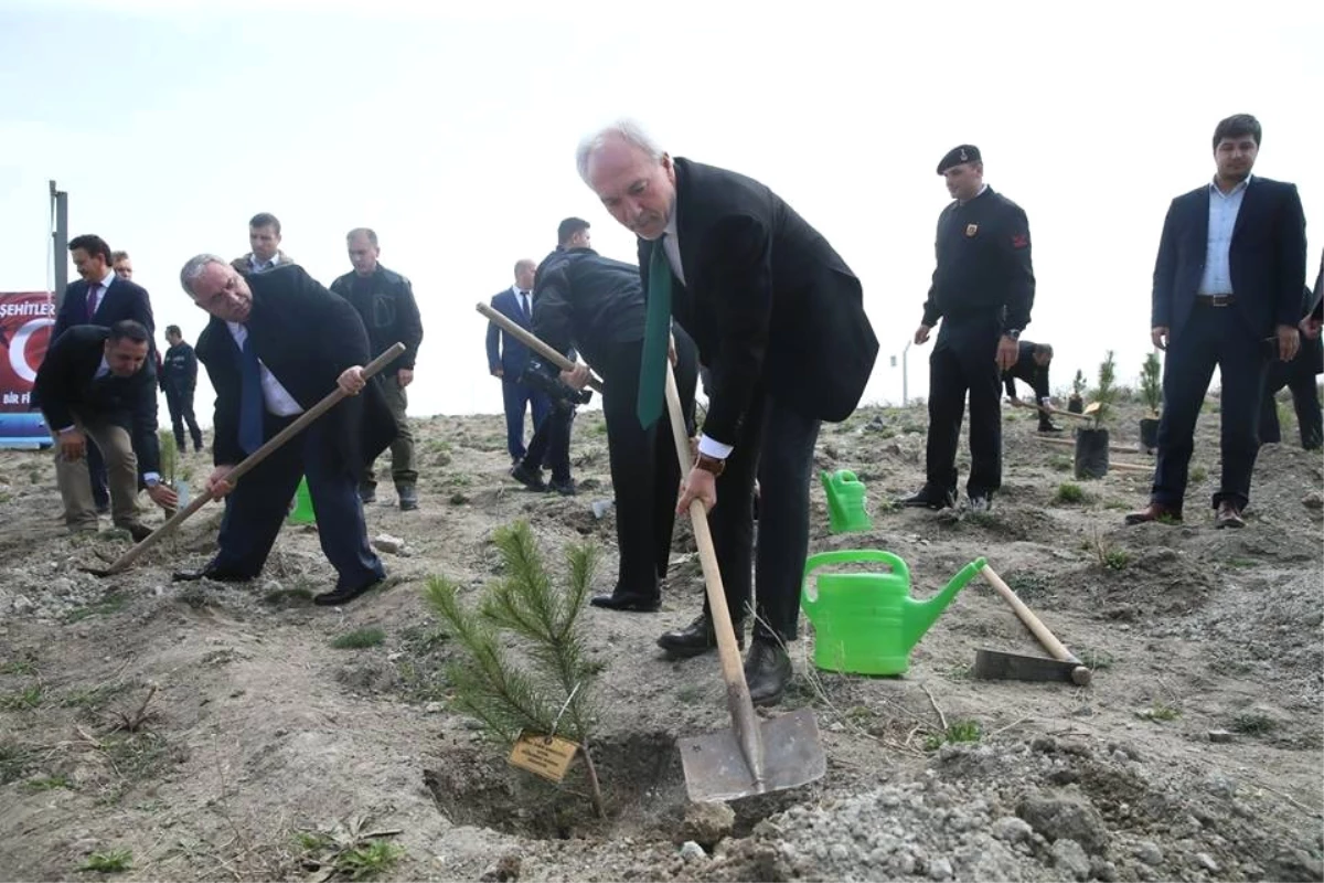 Kütahya\'da \'Şehitler İçin Bir Fidan da Sen Dik\' Projesi Kapsamında 250 Fidan Toprakla Buluştu