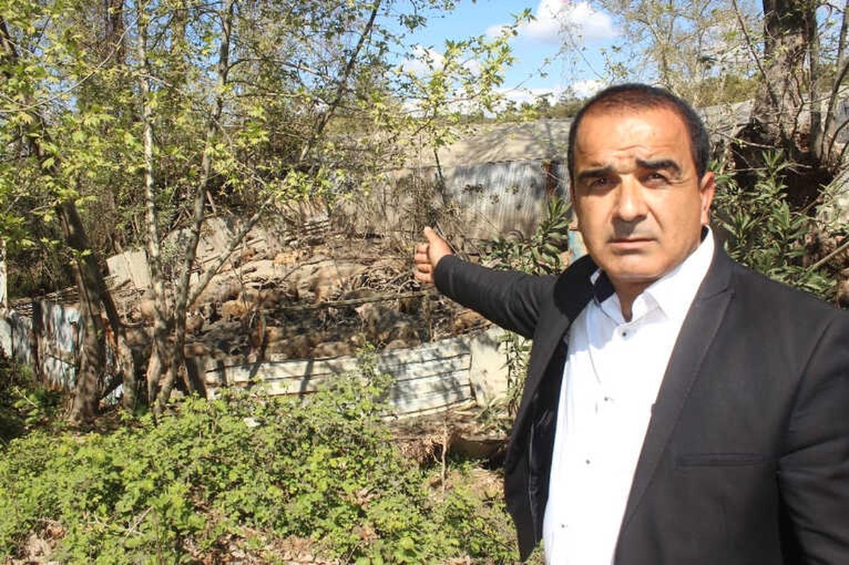 Muhtarın Domuz Çiftliği İsyanı