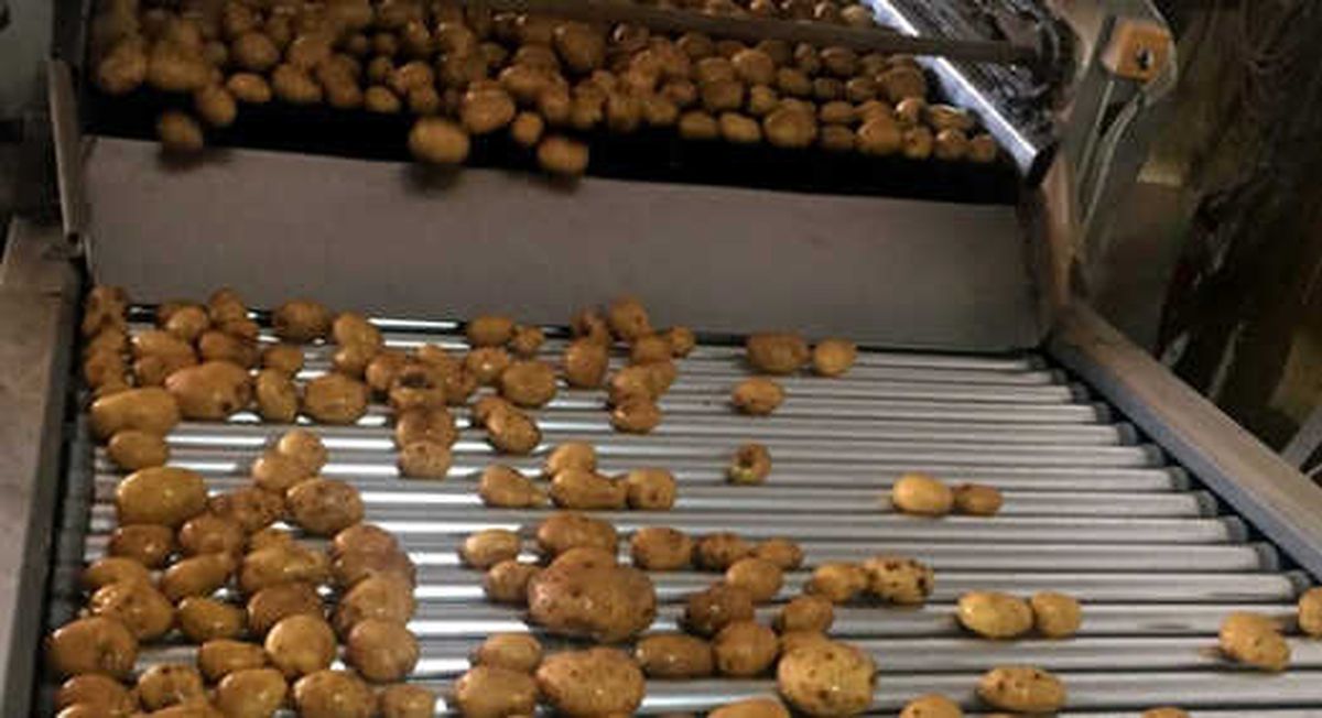 Tzob: Patates Yiyin