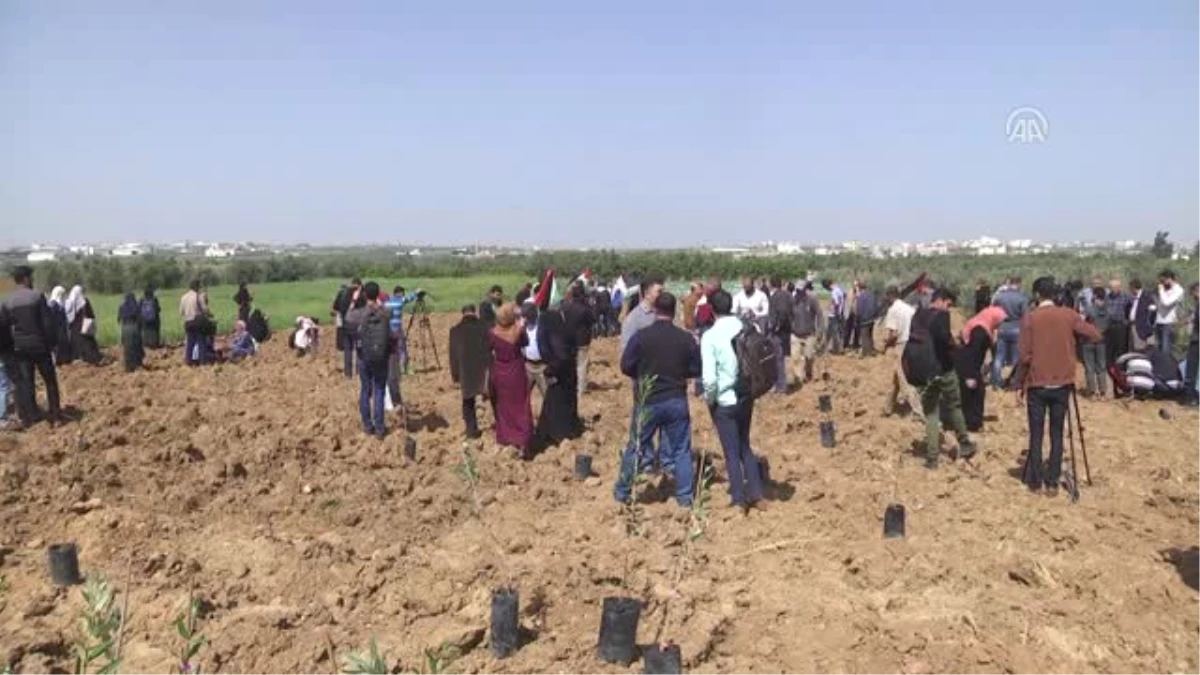 Filistinliler, İsrail Ablukasını Protesto Amacıyla Sınıra Bin Fidan Dikti