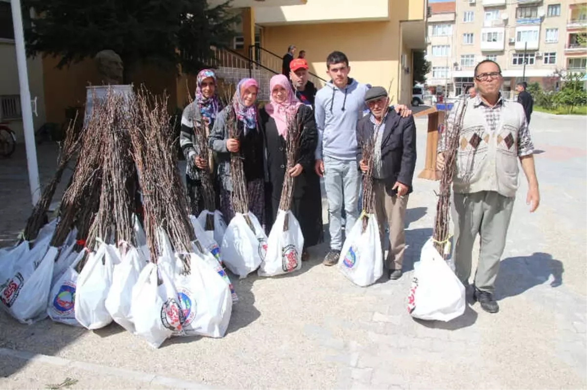 Sındırgı Hünnap Merkezi Olacak