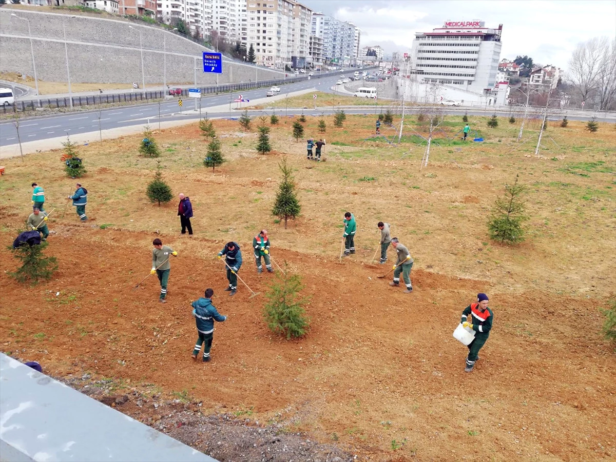 Trabzon\'da Ağaçlandırma Çalışmaları