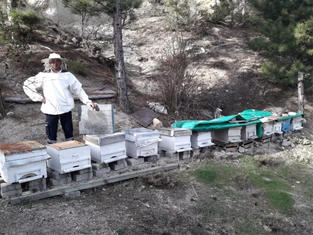 Akdağ Balı Marka Olma Yolunda