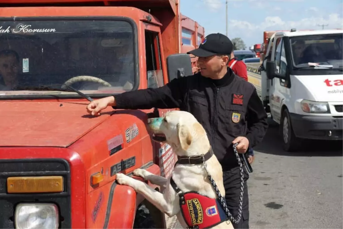 Aydın\'da Nevruz Operasyonu