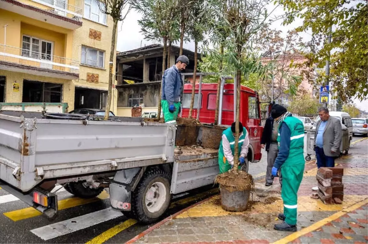 Malatya Yeşile Boyanıyor