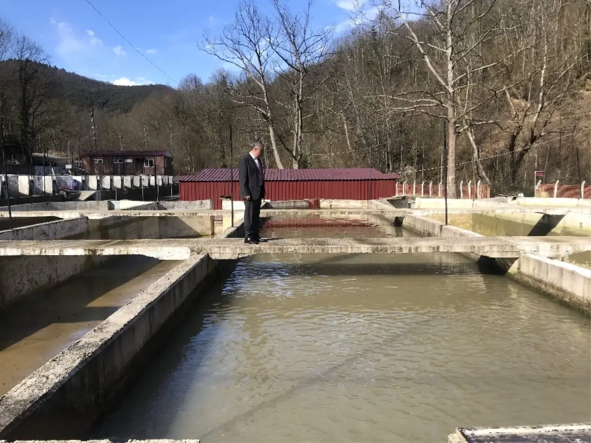 Tarım Müdürü Şahin, Balık Üretim Tesisinde İncelemelerde Bulundu