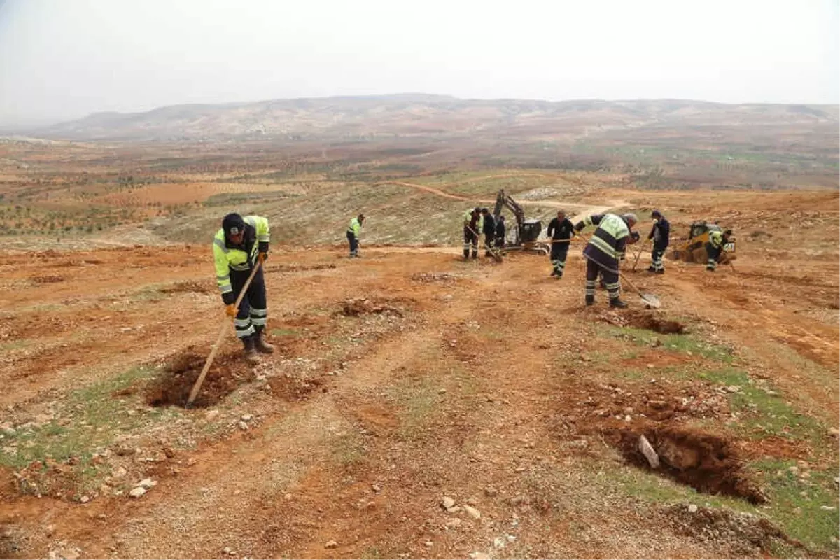 16. Etap Bi Dünya Yeşil Ormanı Kuruluyor