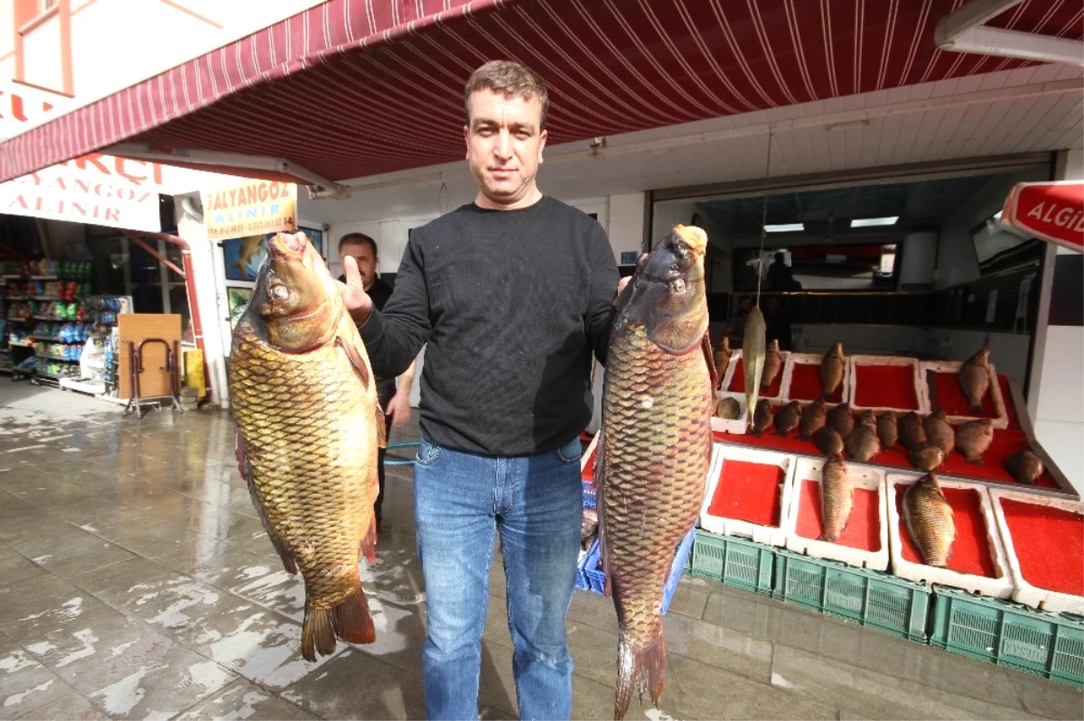 Beyşehir\'de Baraj Balıkları Tezgahtaki Yerlerini Aldı